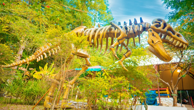 Sitiolândia Eco Park - 2025