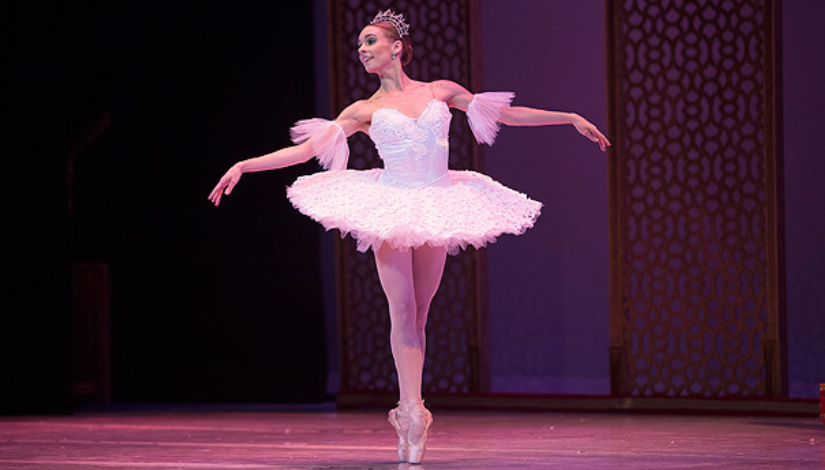 Quebra Nozes, Cisne Negro