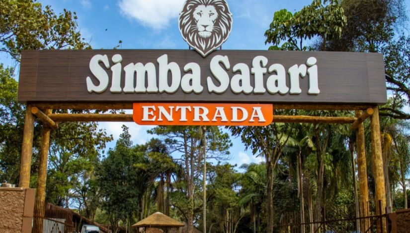 Simba Safari