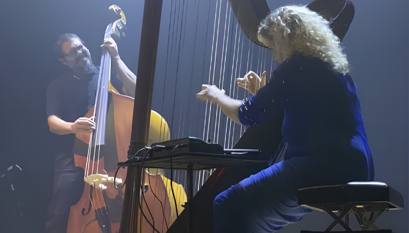 SPHarpFestival
