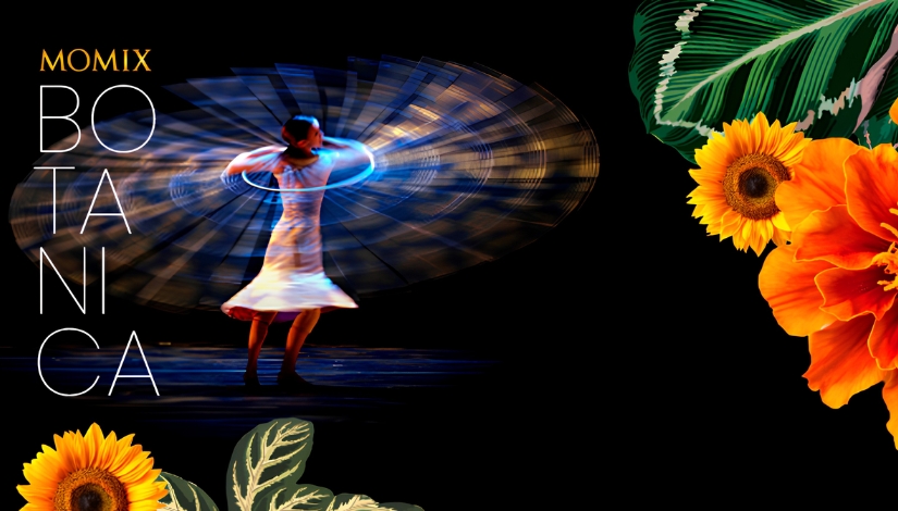 Momix - Botanica