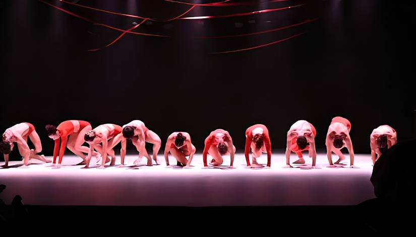 Cia. Sopro de Dança - Asas de Urubu e Patas de Camelo